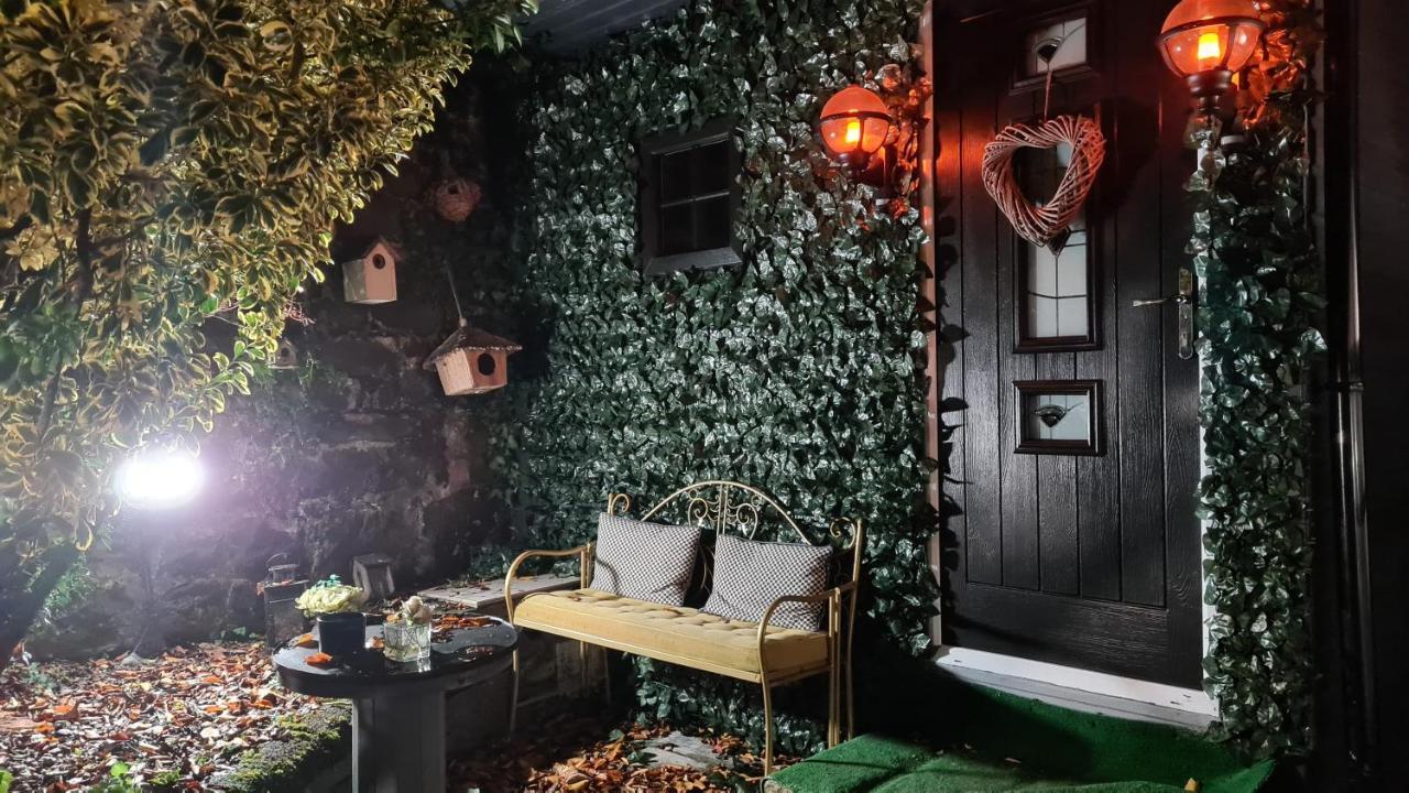 Belfast Cosy Cabin Exterior foto